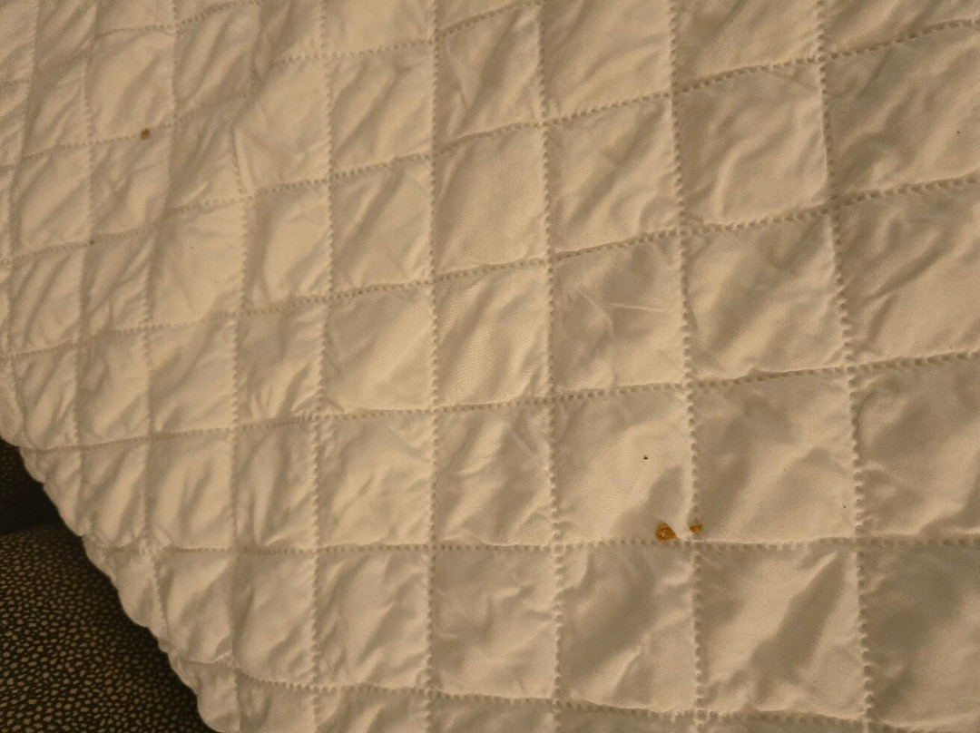 Residence Inn by Marriott Corpus Christi主图