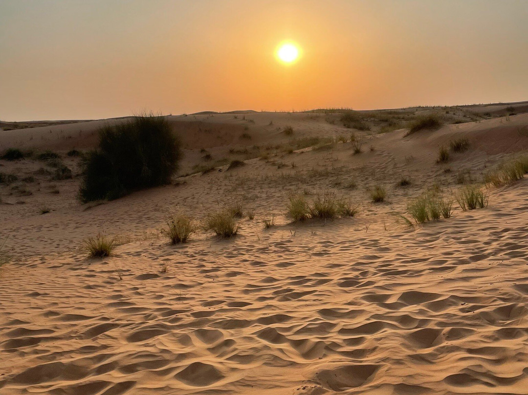 Gulf Voyage景点图片