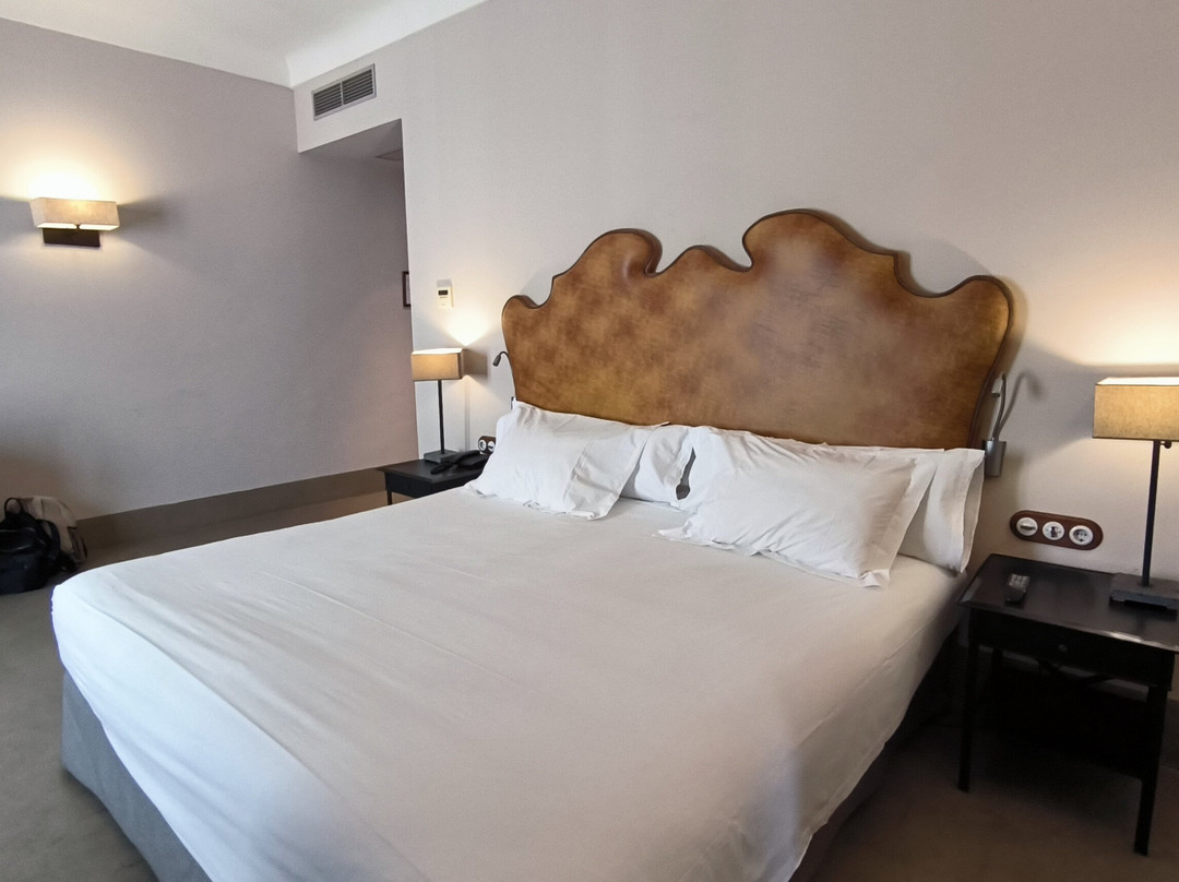 Hotel Palacio Carvajal Giron主图