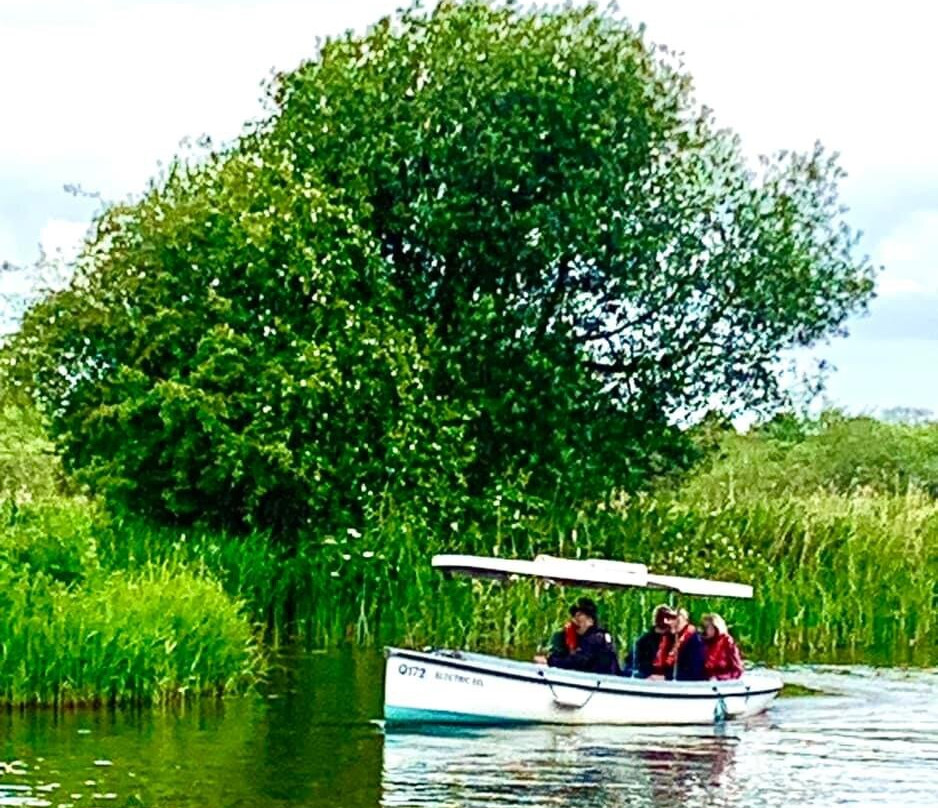 Electric Eel Boat Trip景点图片