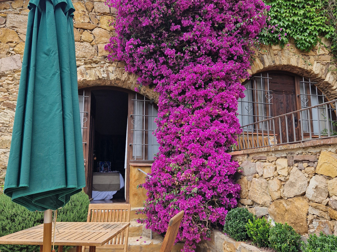 加利纳马斯科曼廓酒店主图