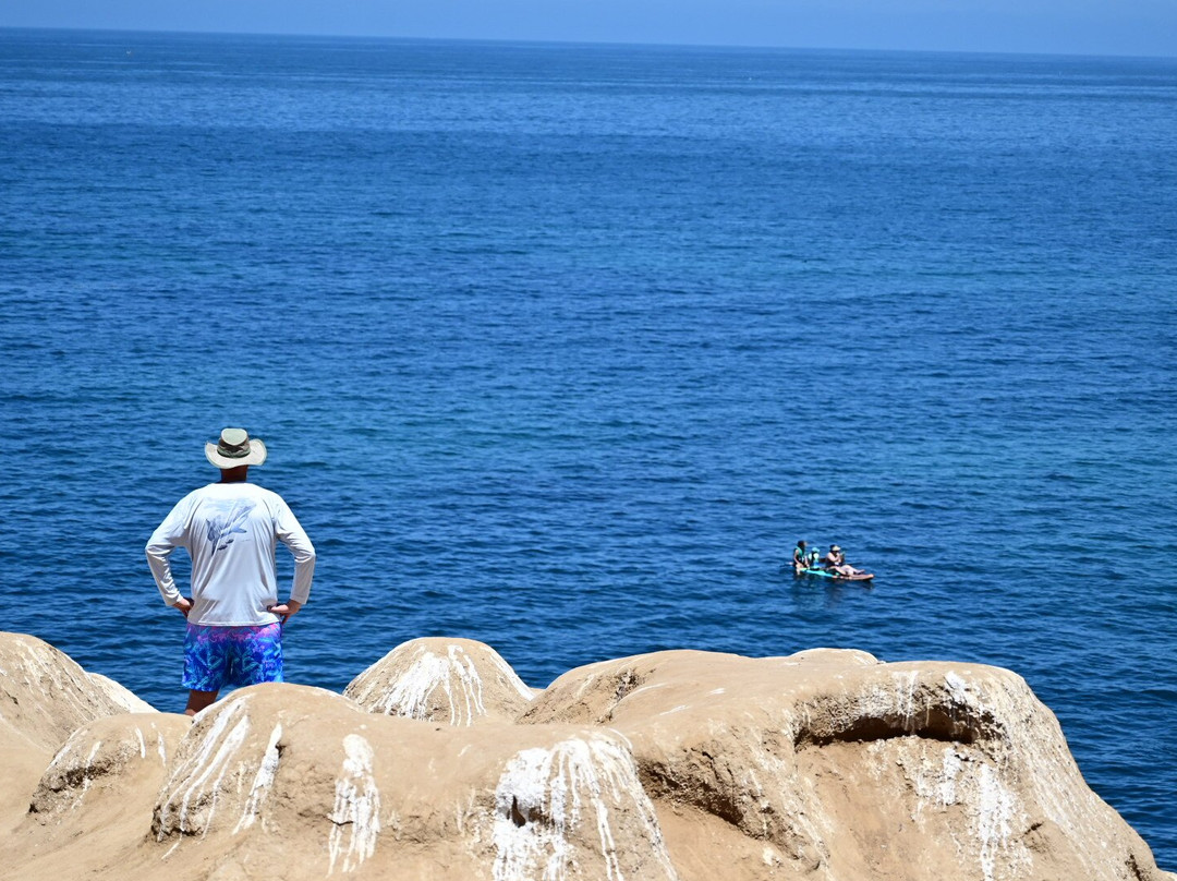 Murals of La Jolla-拉荷亚必去景点