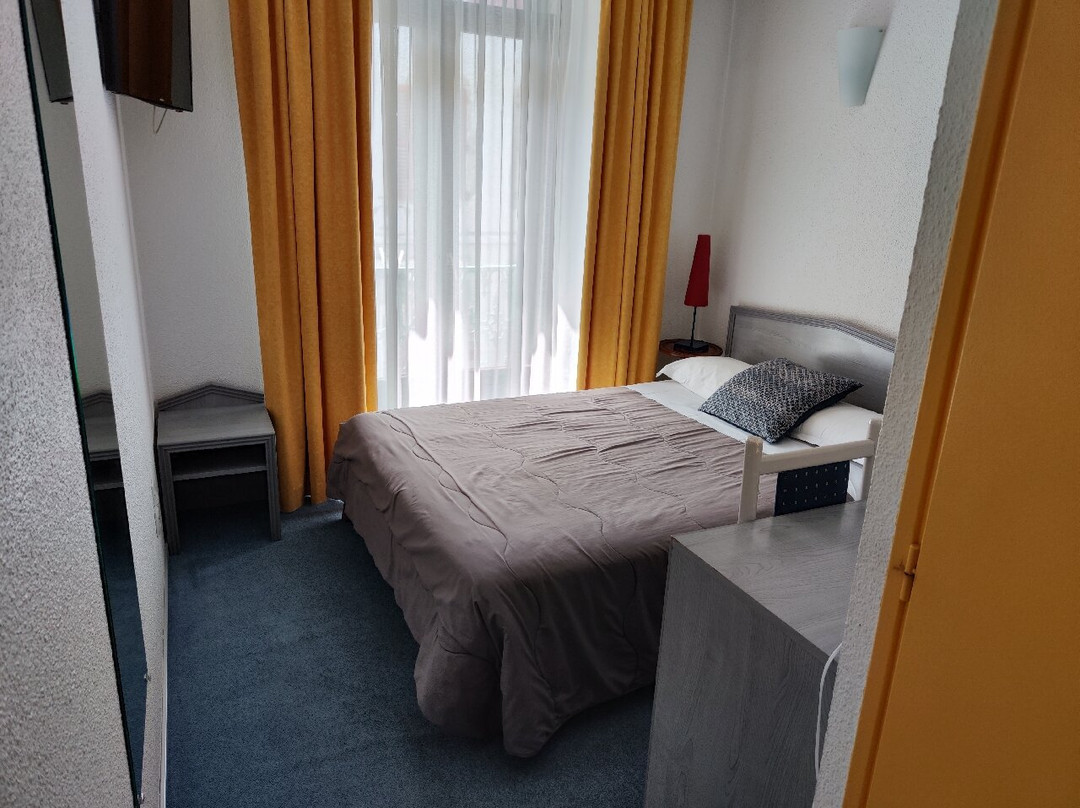 Logis Hotel de Geneve主图