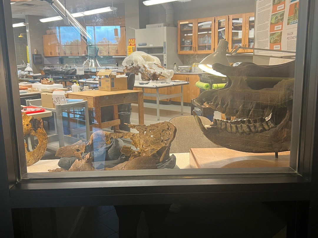 Gray Fossil Site-Gray必去景点