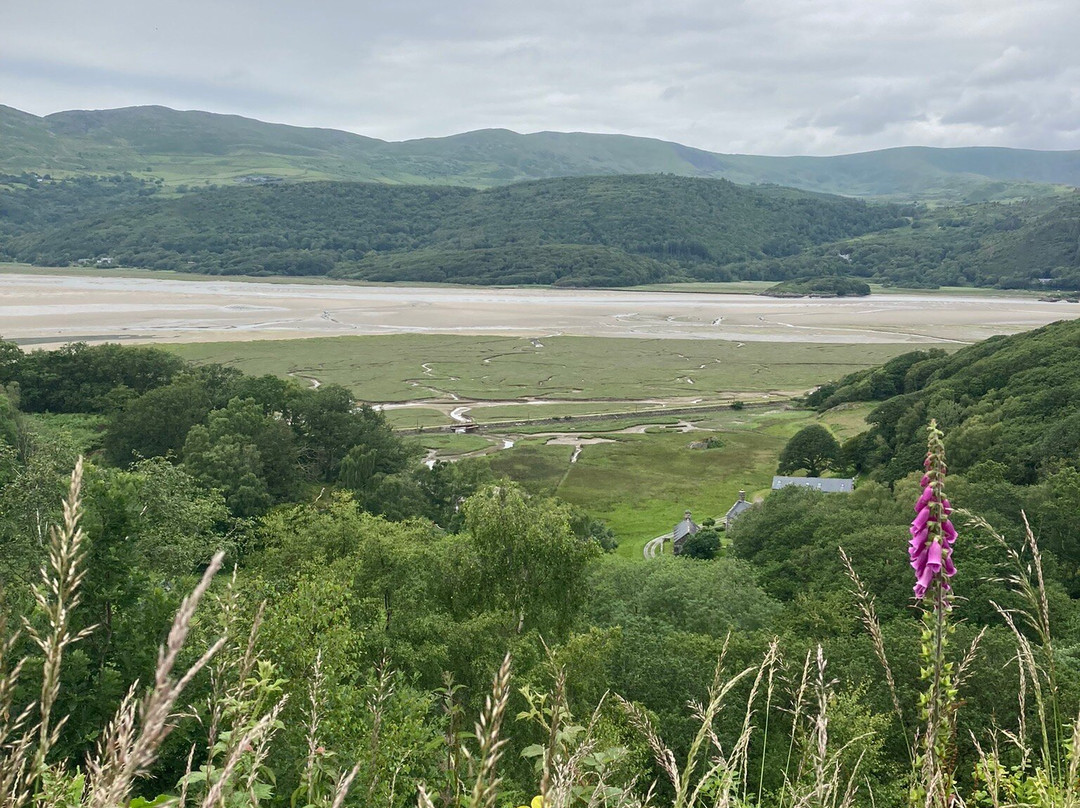 The Slate Shed B &B at Graig Wen主图