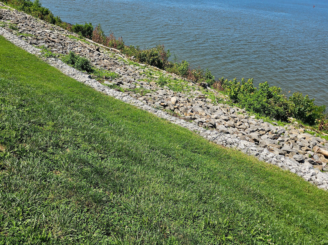 Mickey's Kingdom-埃文斯维尔必去景点