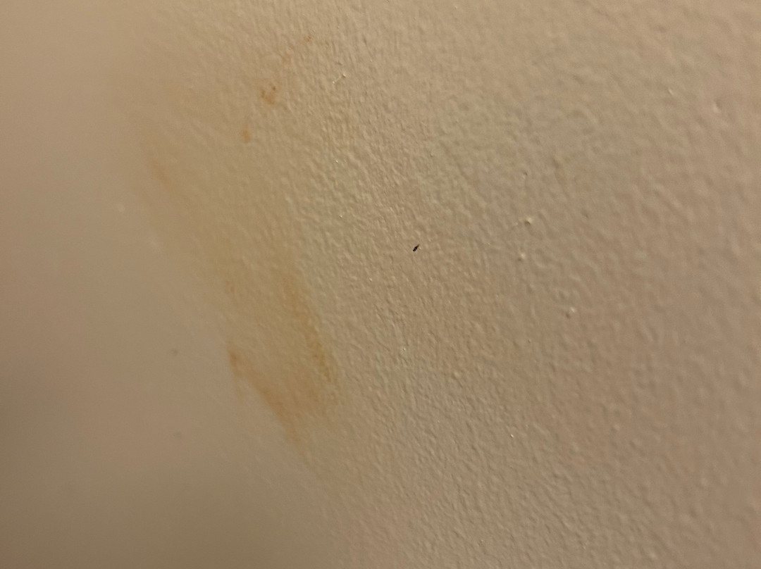 Red Roof PLUS+ Long Island - Garden City主图