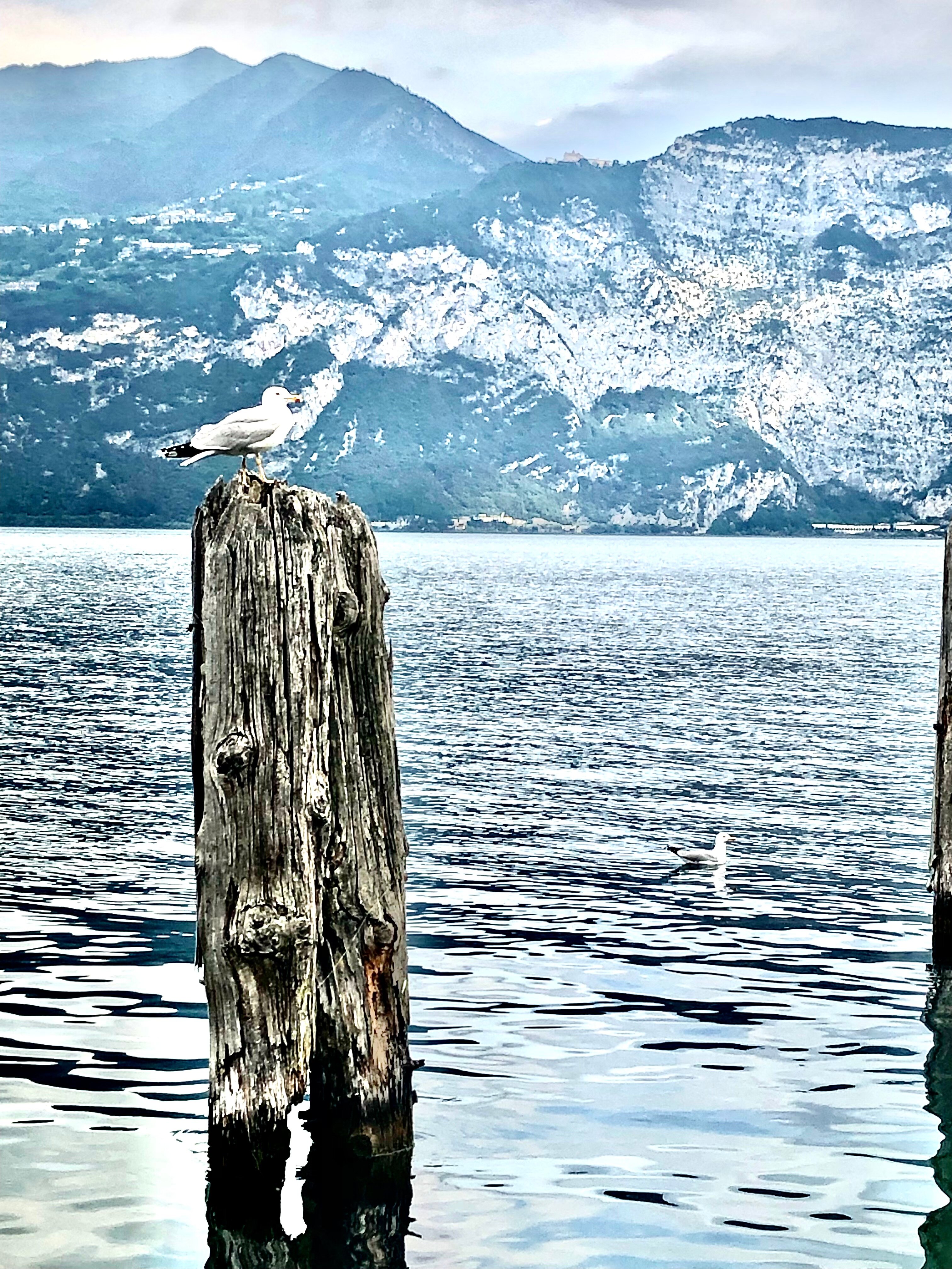 Club da Baia Kite & Lounge Hotel-浴室