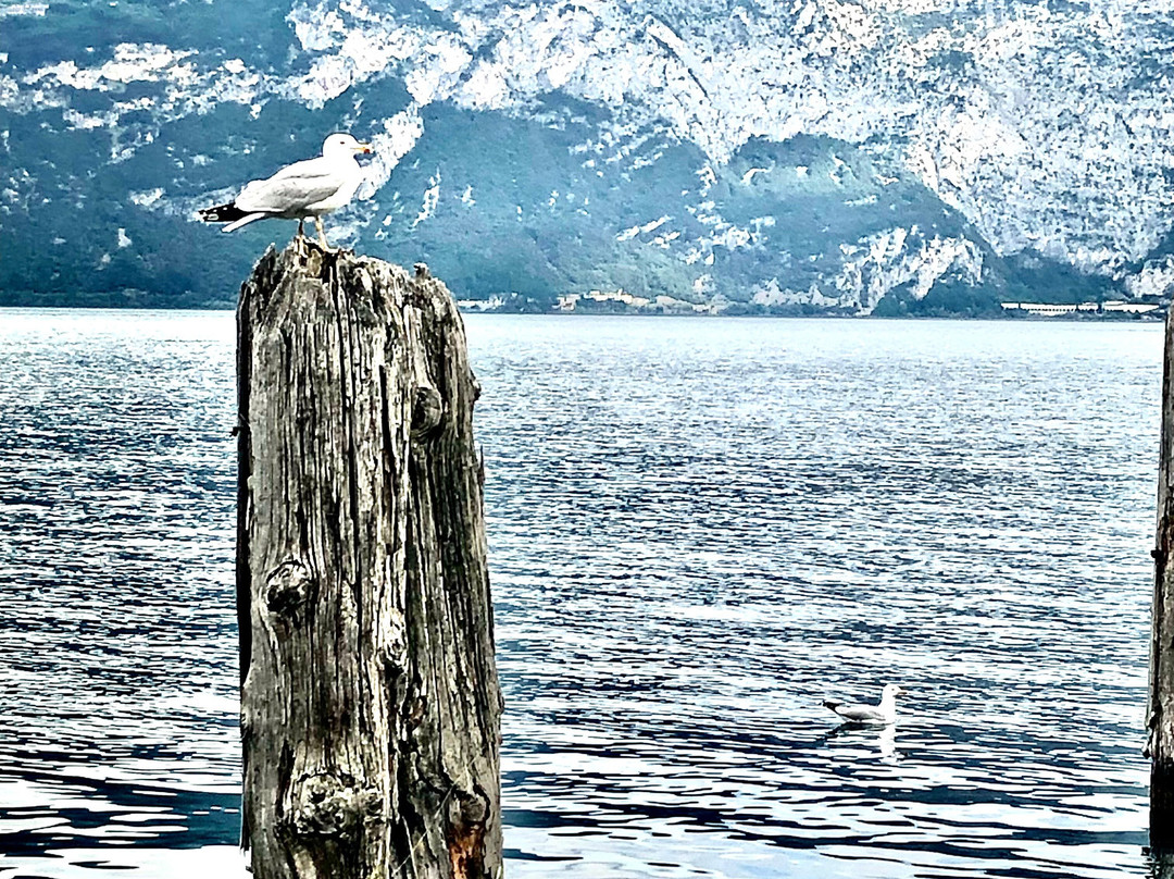 Club da Baia Kite & Lounge Hotel主图