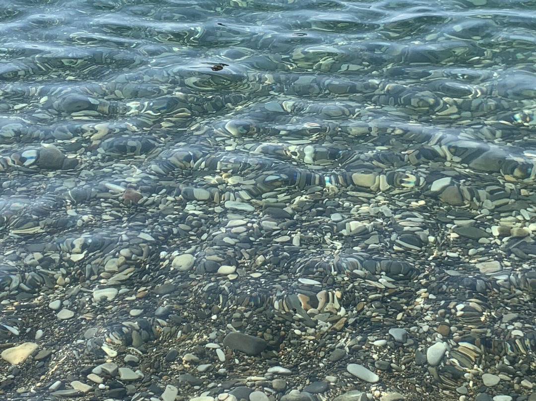 Belaya Rus Health Resort主图