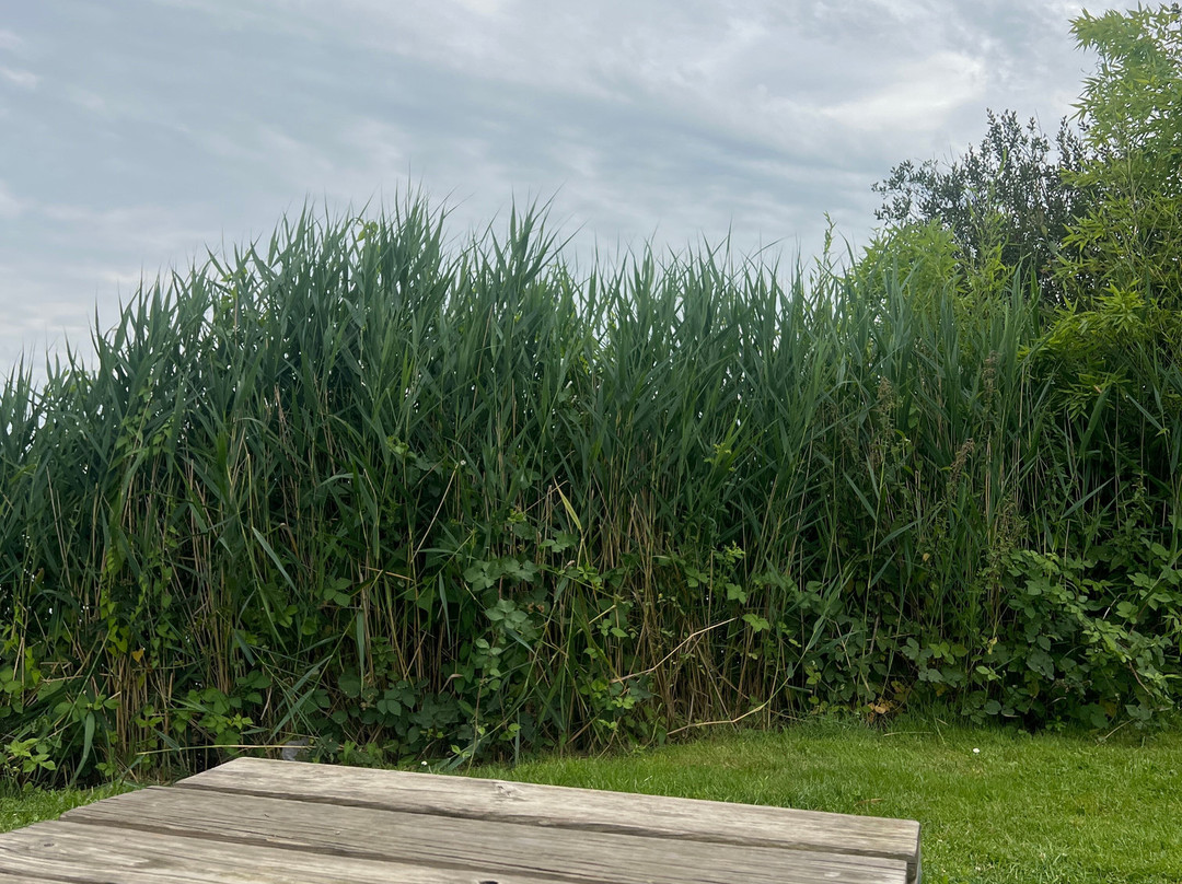 Etang de Sault-Premilhat必去景点