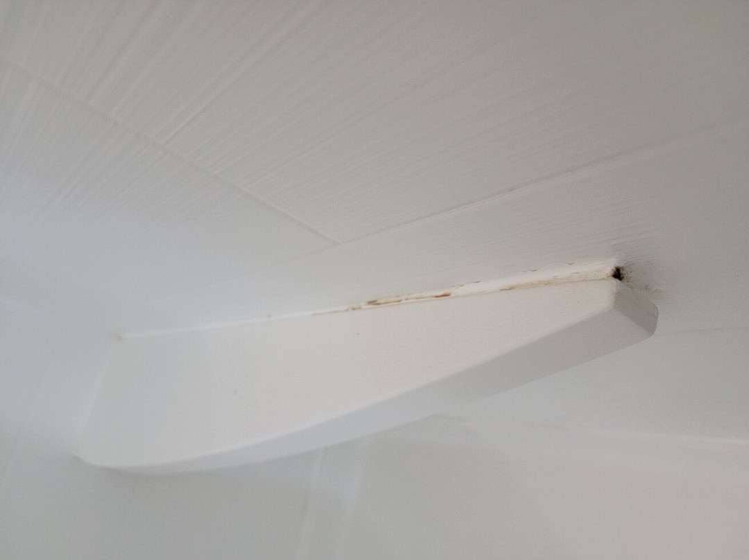 Holiday Inn Express & Suites Toledo South - Perrysburg by IHG主图