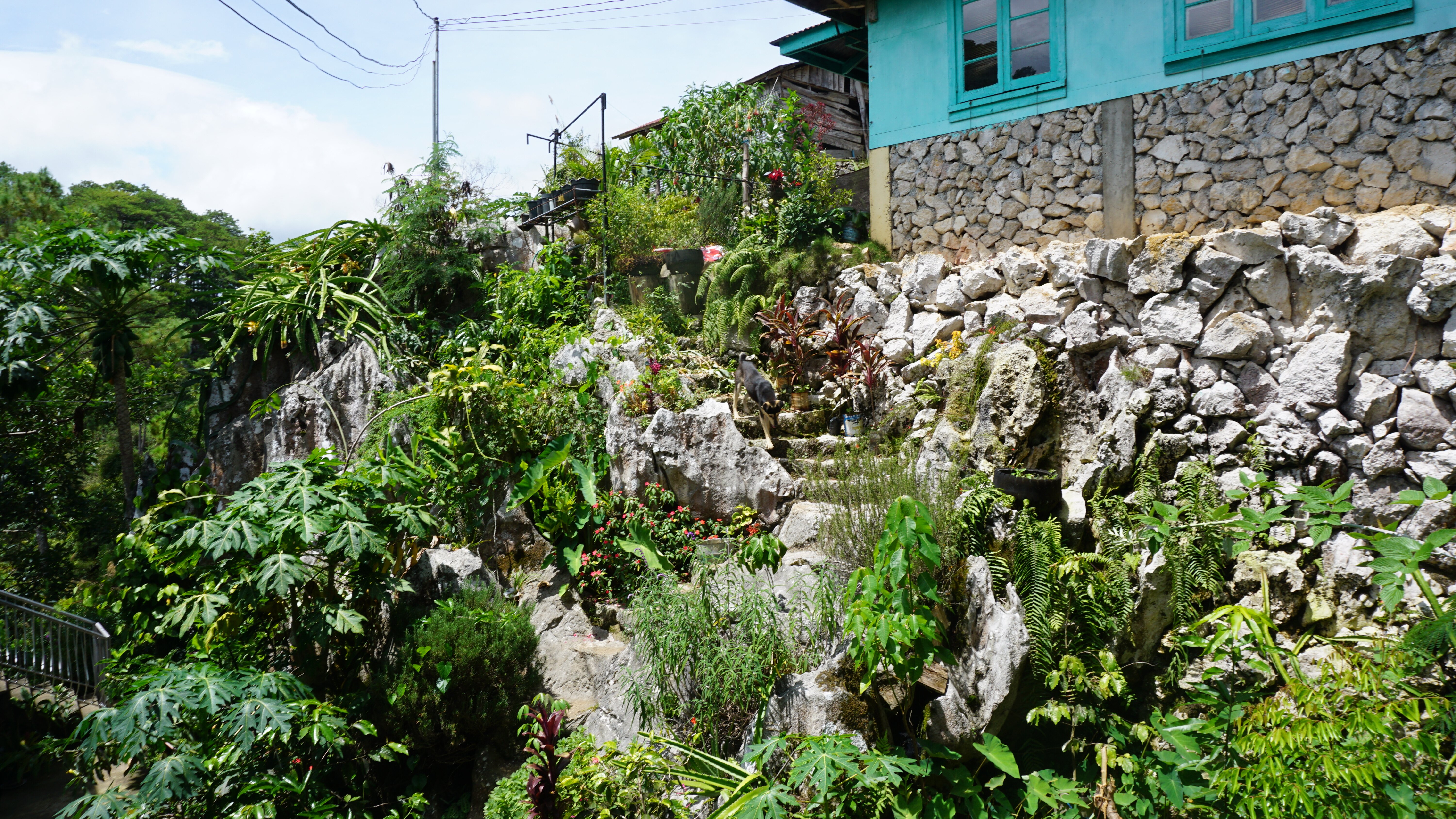 Treasure Rock Inn-官方