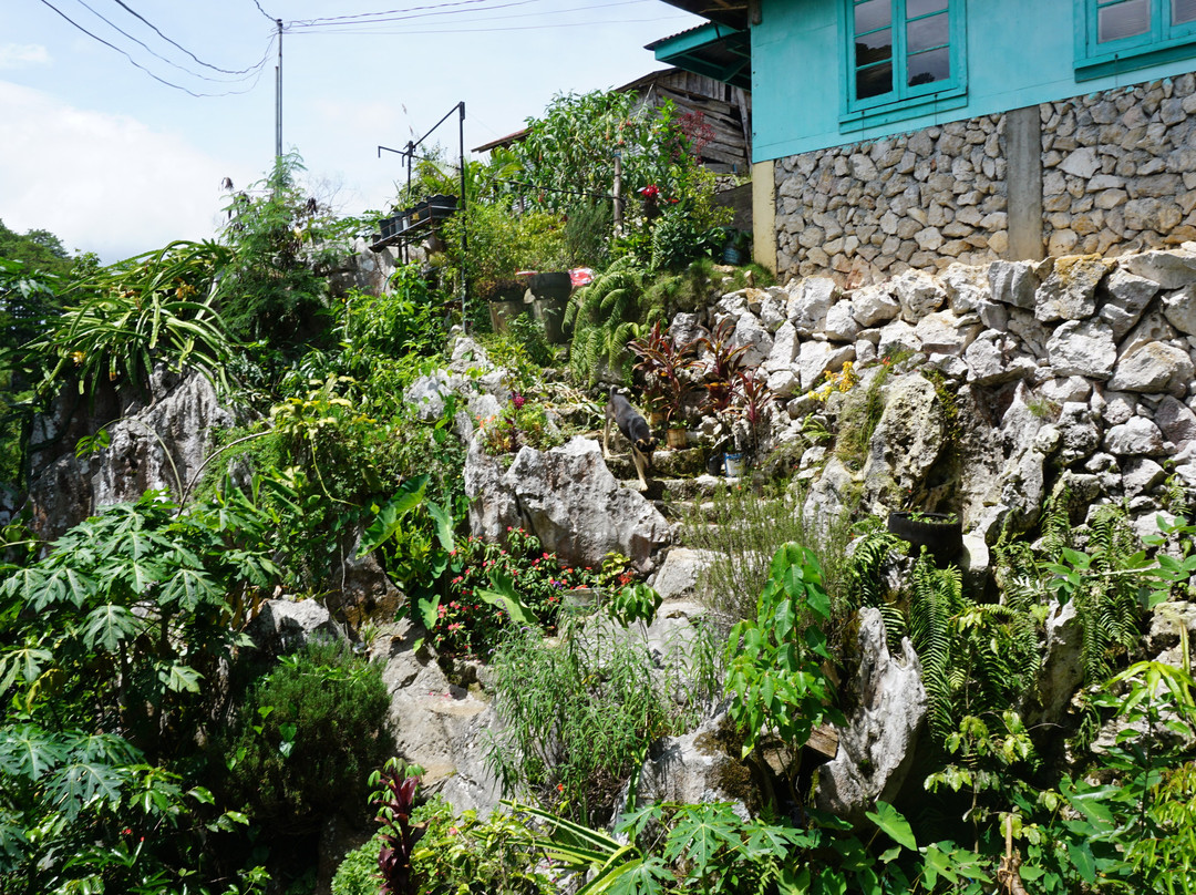 Treasure Rock Inn主图