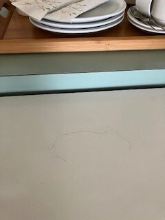 Melaleuca Motel主图