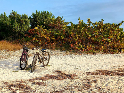 Island Safari Rentals-基韦斯特必去景点