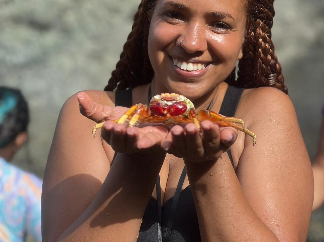 La Zanja-法哈多必去景点