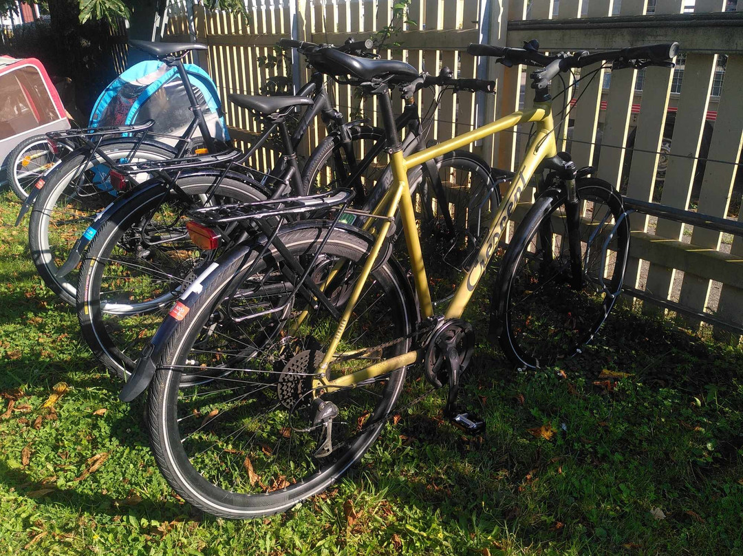 Ölands Cykeluthyrning-Borgholm必去景点