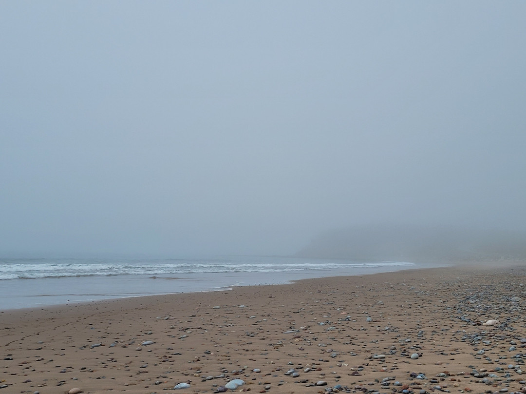 Lawrencetown Beach景点图片