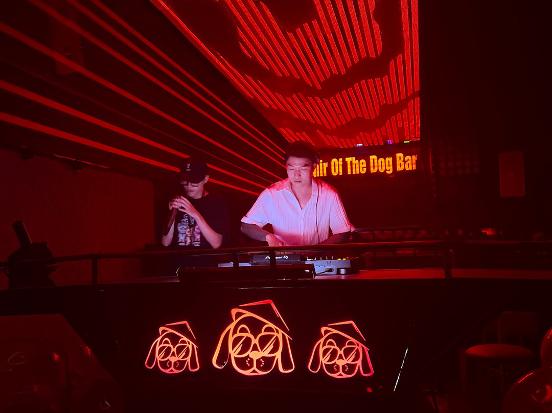 Hair Of The Dog Bar Hoi An-会安必去景点