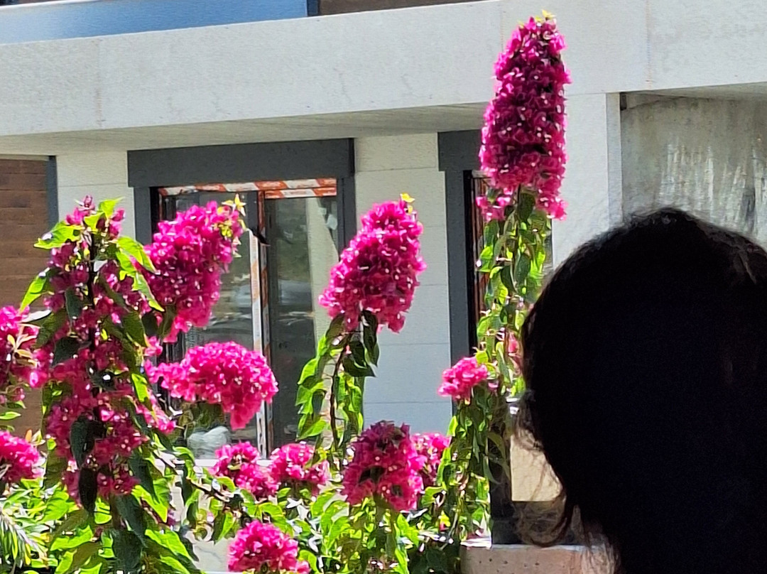 ReynaBe Boutique Hotel