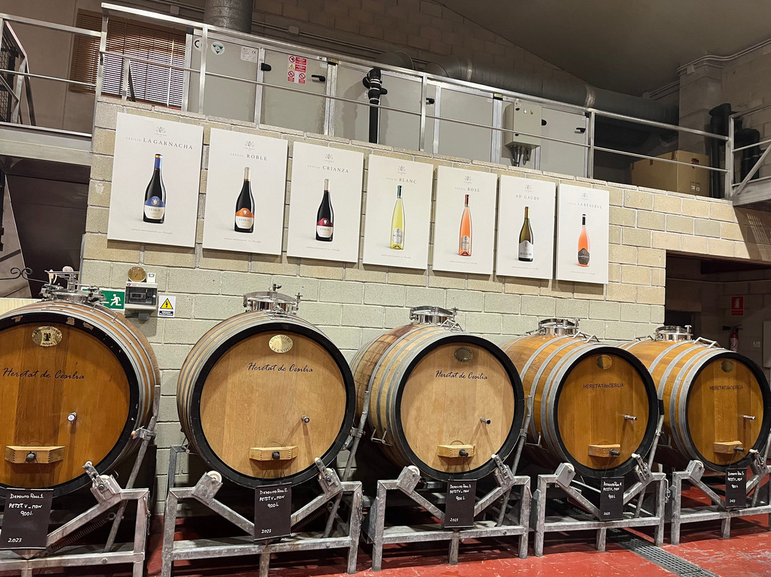 Bodega Casa Sicilia景点图片