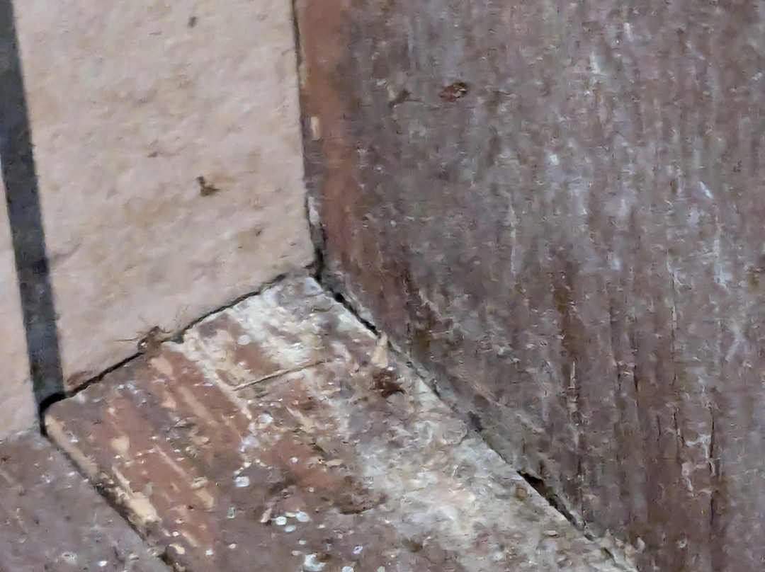 Cranes Mill Park-峡谷湖必去景点