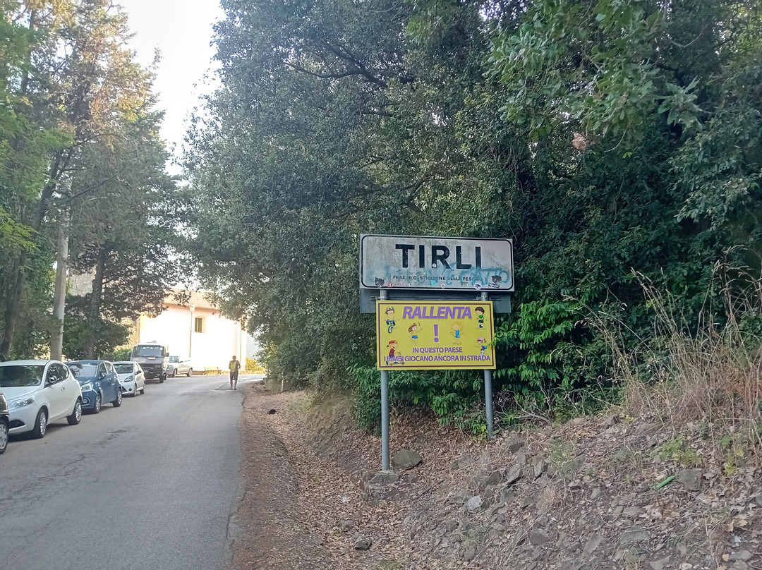 Alla Meria主图