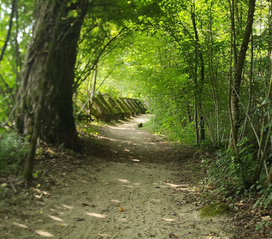 Le Sentier Des Toblerones-Bassins必去景点