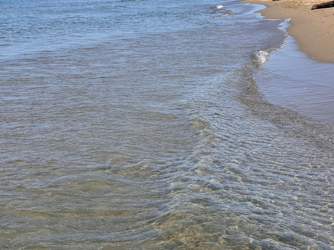 Marina di Alberese景点图片