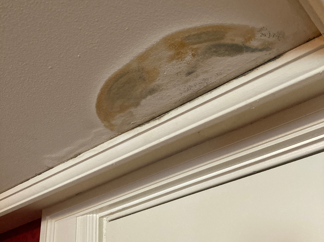 Prince of Wales主图