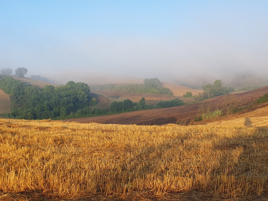 Castello di Saltemnano主图
