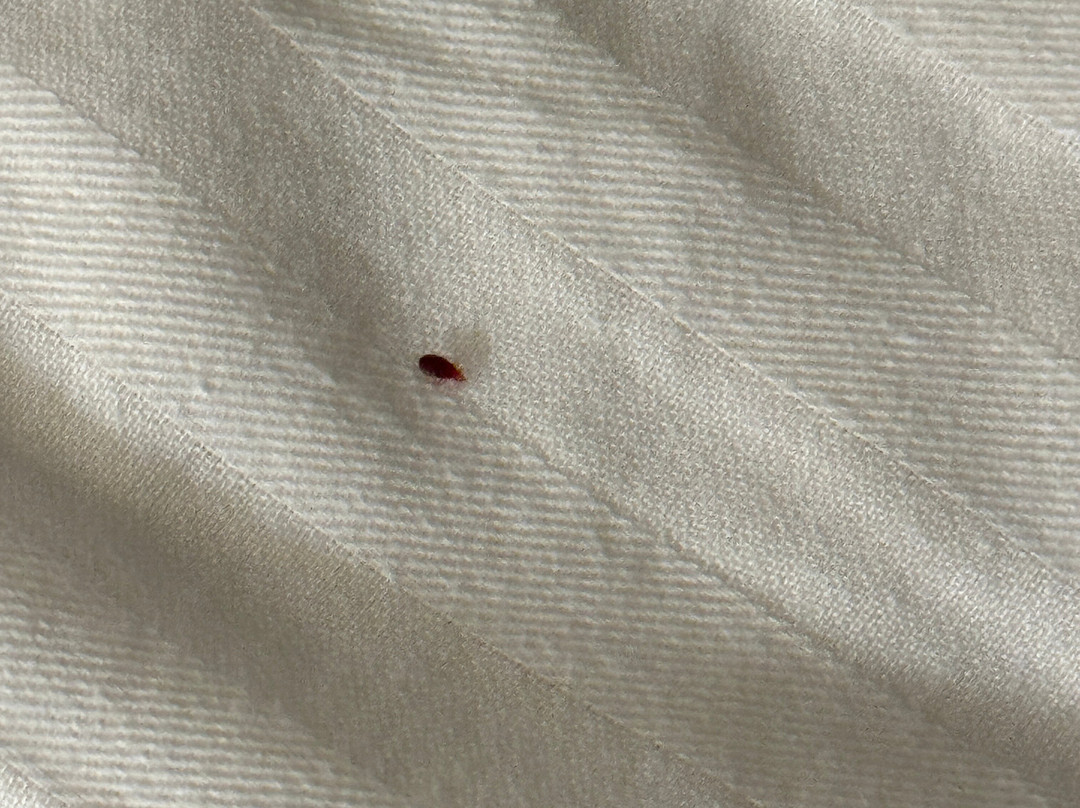 La Quinta Inn & Suites by Wyndham Wichita Northeast主图