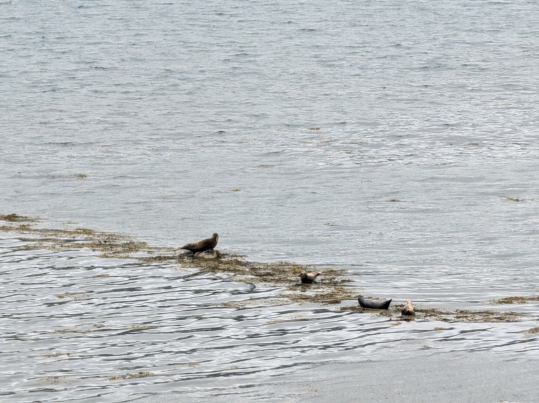 Bstours-伊萨菲厄泽必去景点
