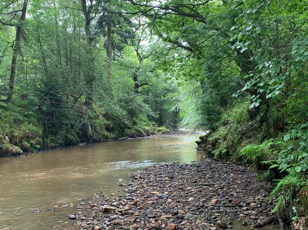 Roslin Glen Country Park-Roslin必去景点