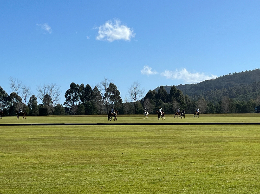 Kurland Park Horse Trails-普利登堡湾必去景点