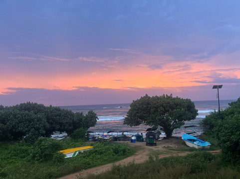 Mirissa Blue Whales And Turtle Snorkeling