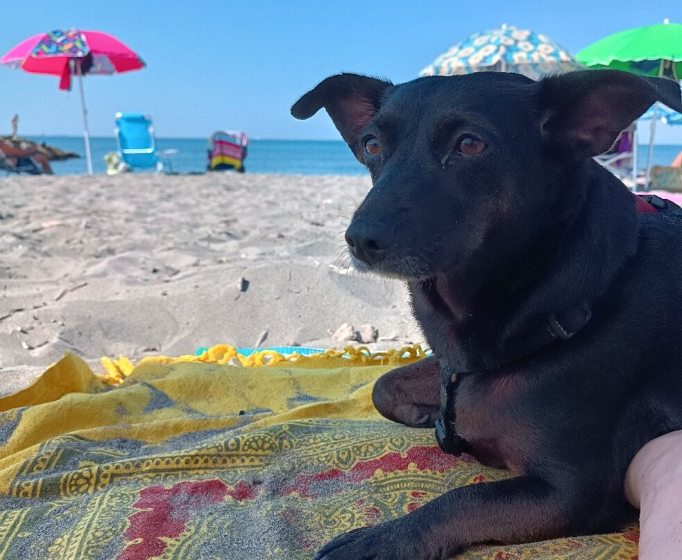 Bau Bau Beach景点图片