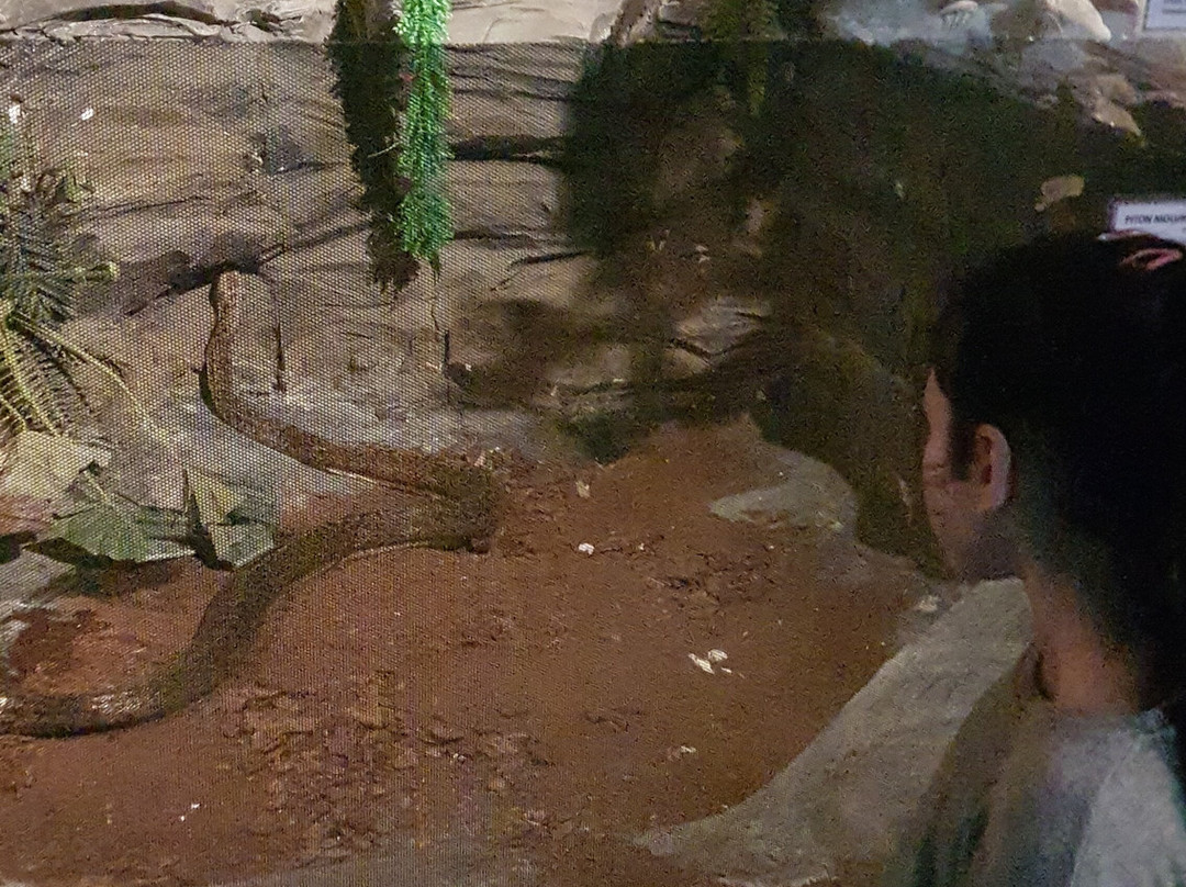 Serpentario Educativo de Tigre-蒂格雷必去景点