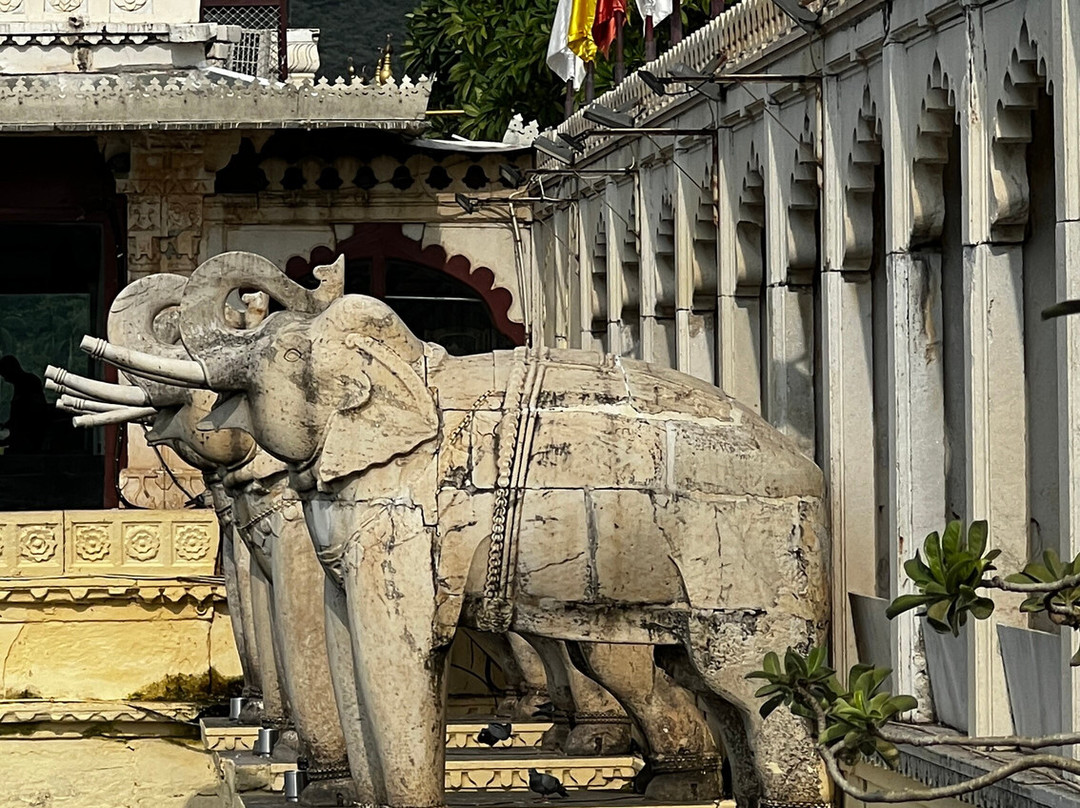 Discover Udaipur Tour景点图片