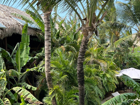 Pousada Jardim do Vento