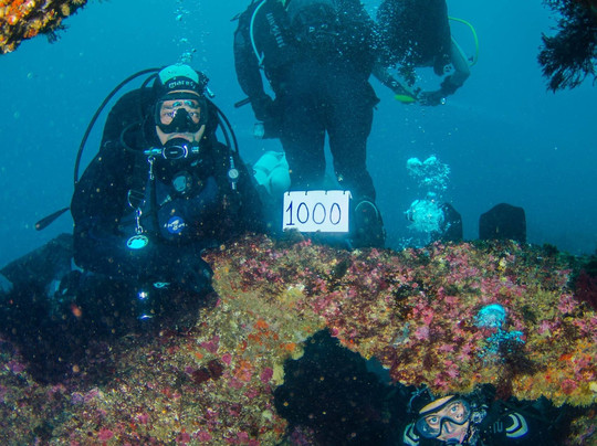 Poseidon Dive Center Portugal-塞新布拉必去景点