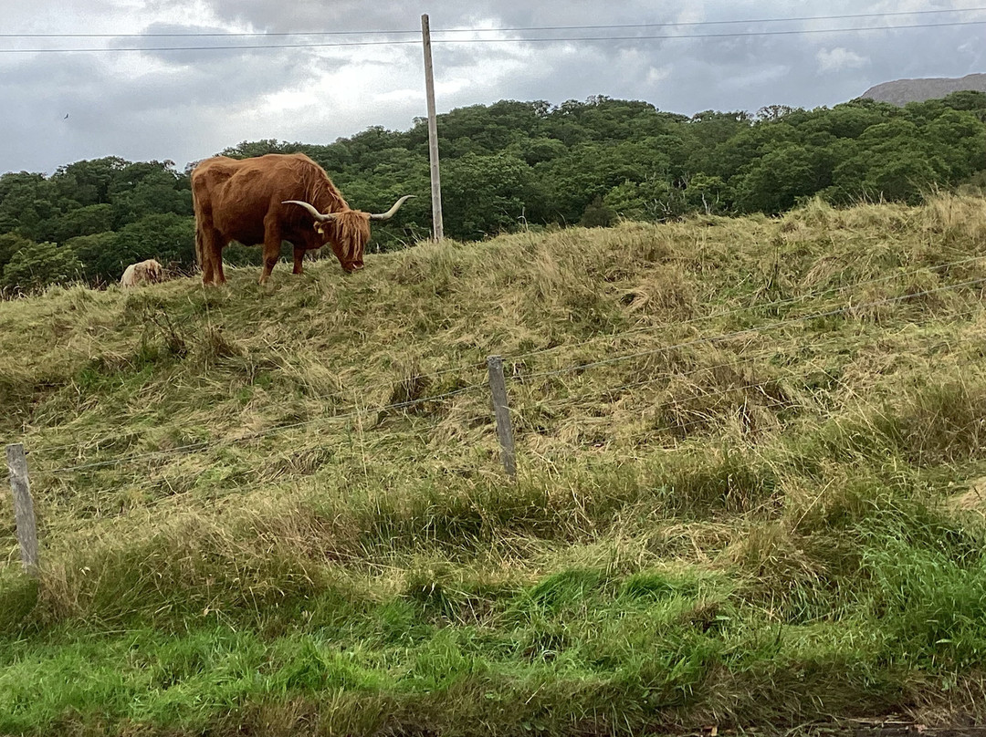 The GALE Centre - Gairloch and Loch Ewe Action Forum-盖尔洛赫必去景点
