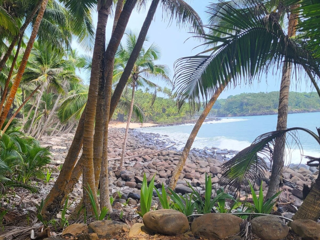 Les Iles du Salut-Kourou必去景点