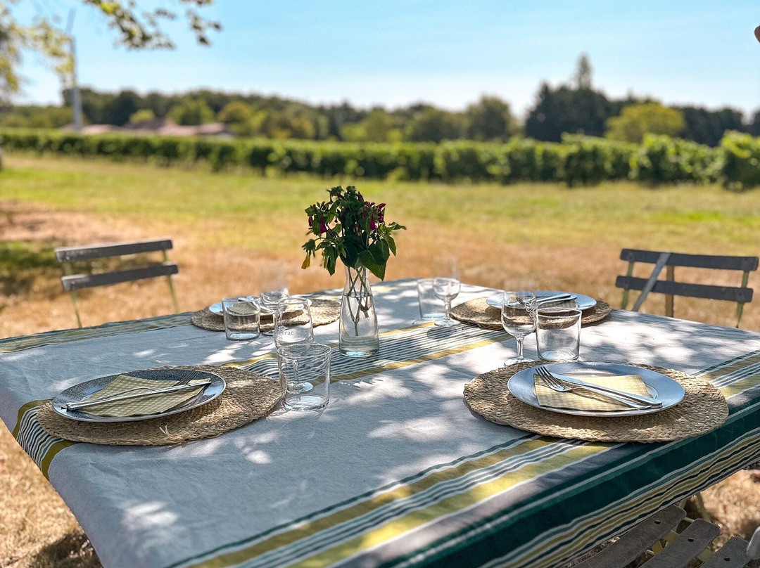 Dordogne Vineyard Tours景点图片