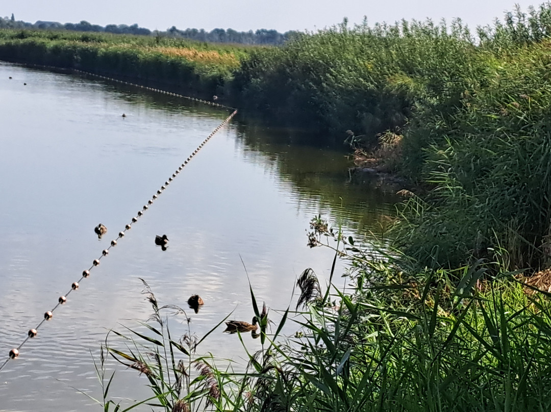 NABU-Wasservogelreservat Wallnau-Fehmarn必去景点