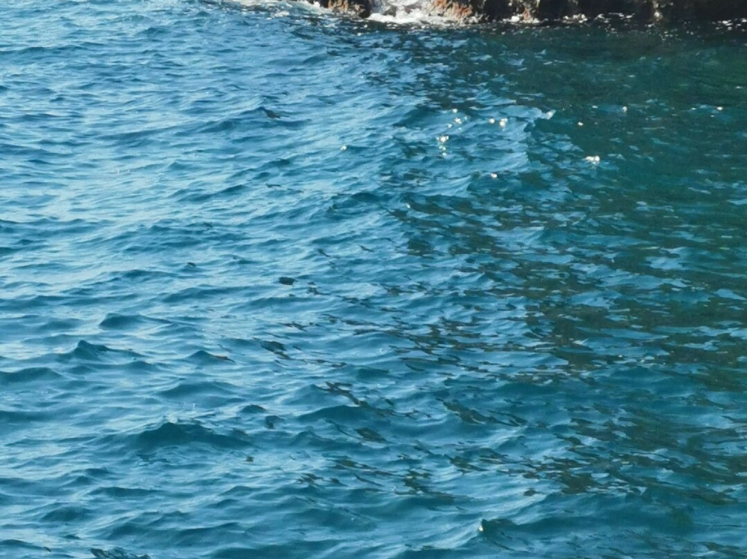 Villa Santa Maria - Luxury Villa主图