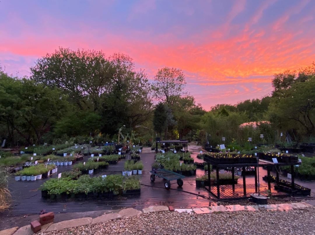 Kansas Plant Farm-劳伦斯必去景点