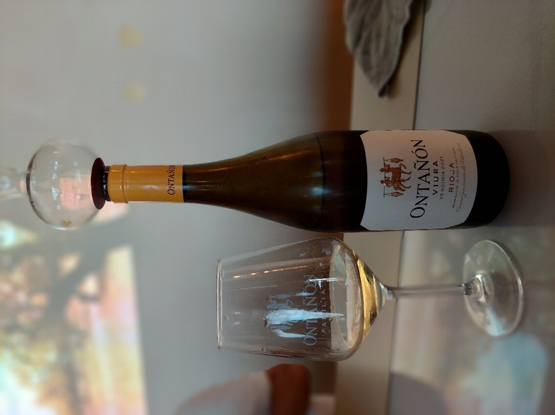 Bodegas Ontañón, El Templo del Vino景点图片