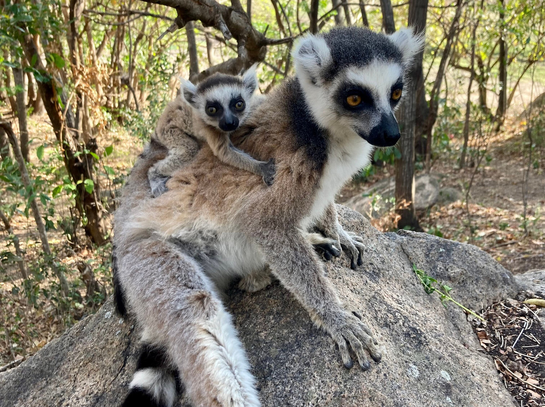 Tina Guide Accompagnateur Madagascar景点图片